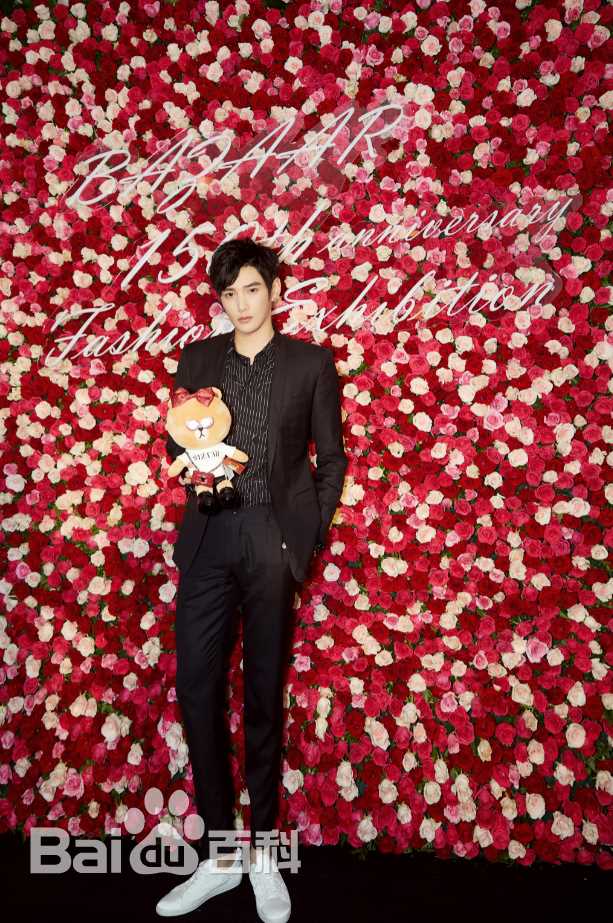 彦希(Saixixi)Bazaar图片图册