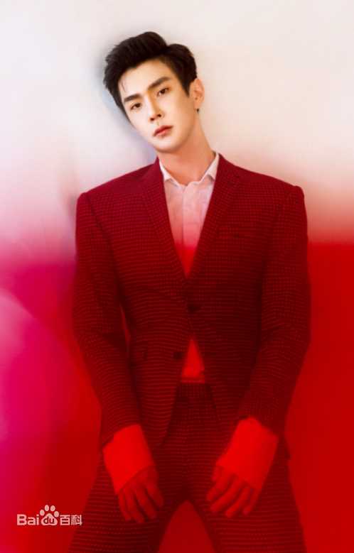 彦希(Saixixi)央视元宵晚会前后照片