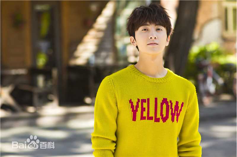 牛骏峰最优质黄色毛衣相册