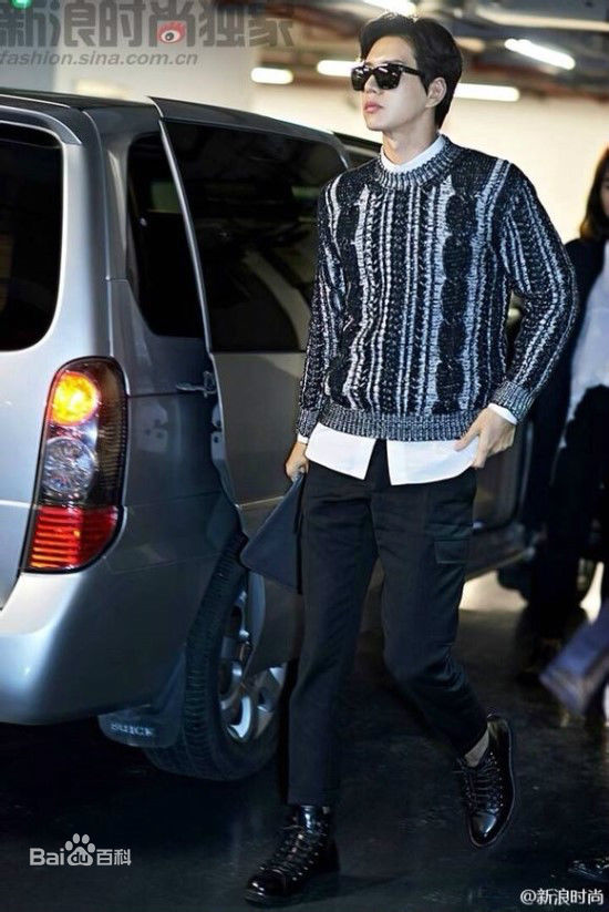 朴海镇(/Park Hae Jin/パクヘジソ)机场街拍性感图片图集