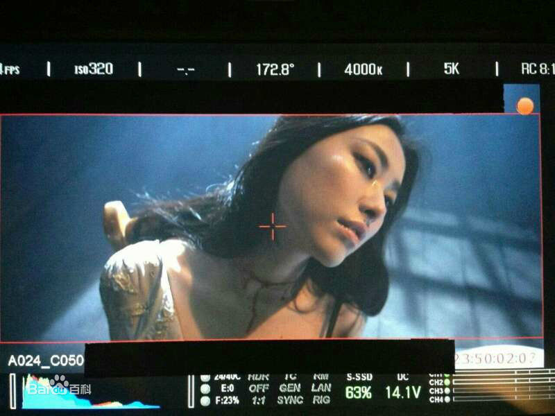 郭大雷(Zorro)作品精美图前后照片