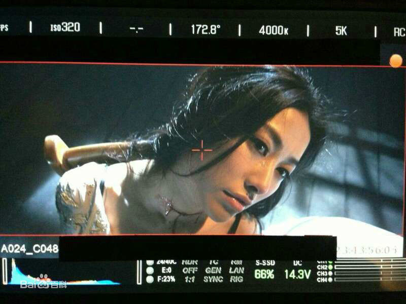 郭大雷(Zorro)作品精美图前后照片