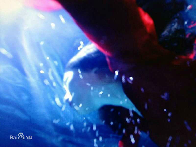 郭大雷(Zorro)作品精美图前后照片