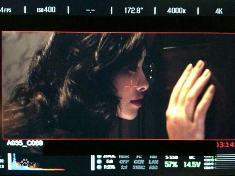 郭大雷(Zorro)作品精美图前后照片