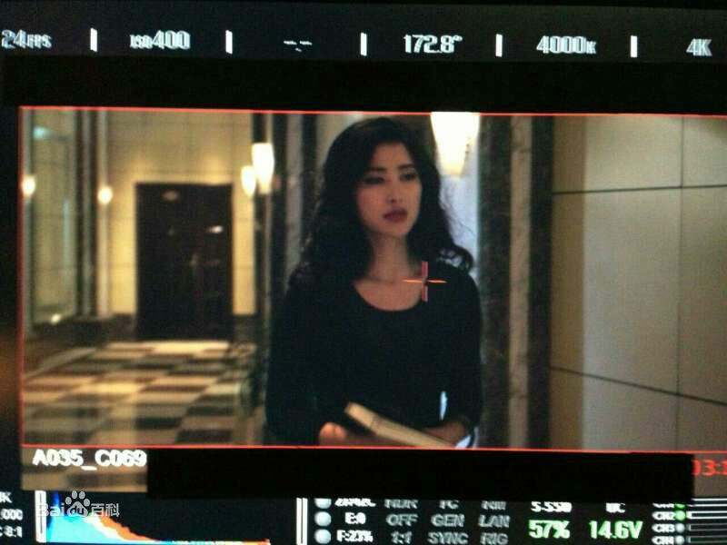 郭大雷(Zorro)作品精美图前后照片