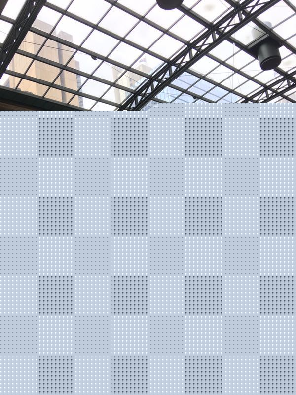 郭大雷(Zorro)第八届澳洲国际华语电影节壁纸壁纸