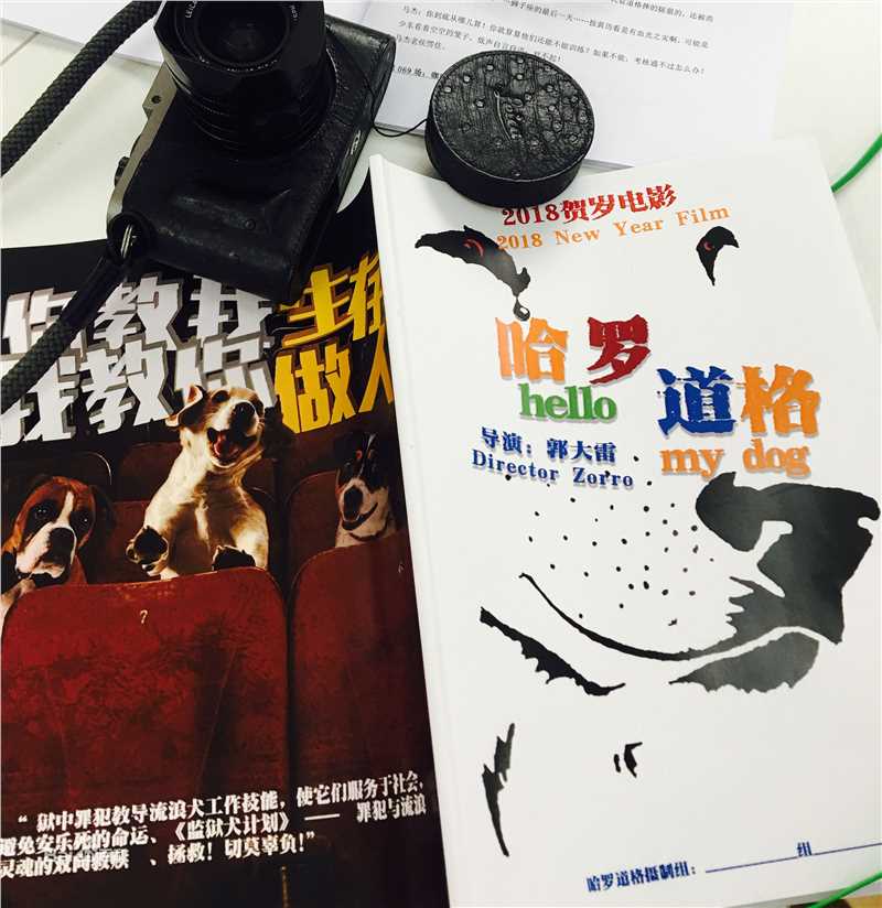 最优质郭大雷(Zorro)在电影《监狱犬计划》导演工作照中的相册