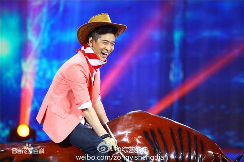 王宁演员素颜照相册