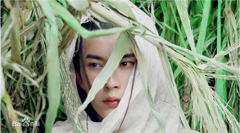 高清于朦胧(Alan Yu)在《太子妃升职记》九王齐翰中的图集