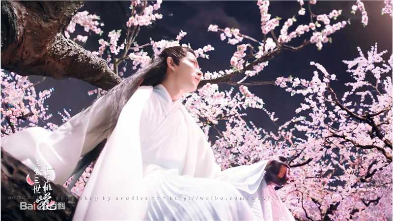 最新于朦胧(Alan Yu)在《三生三世 十里桃花》白真中的壁纸