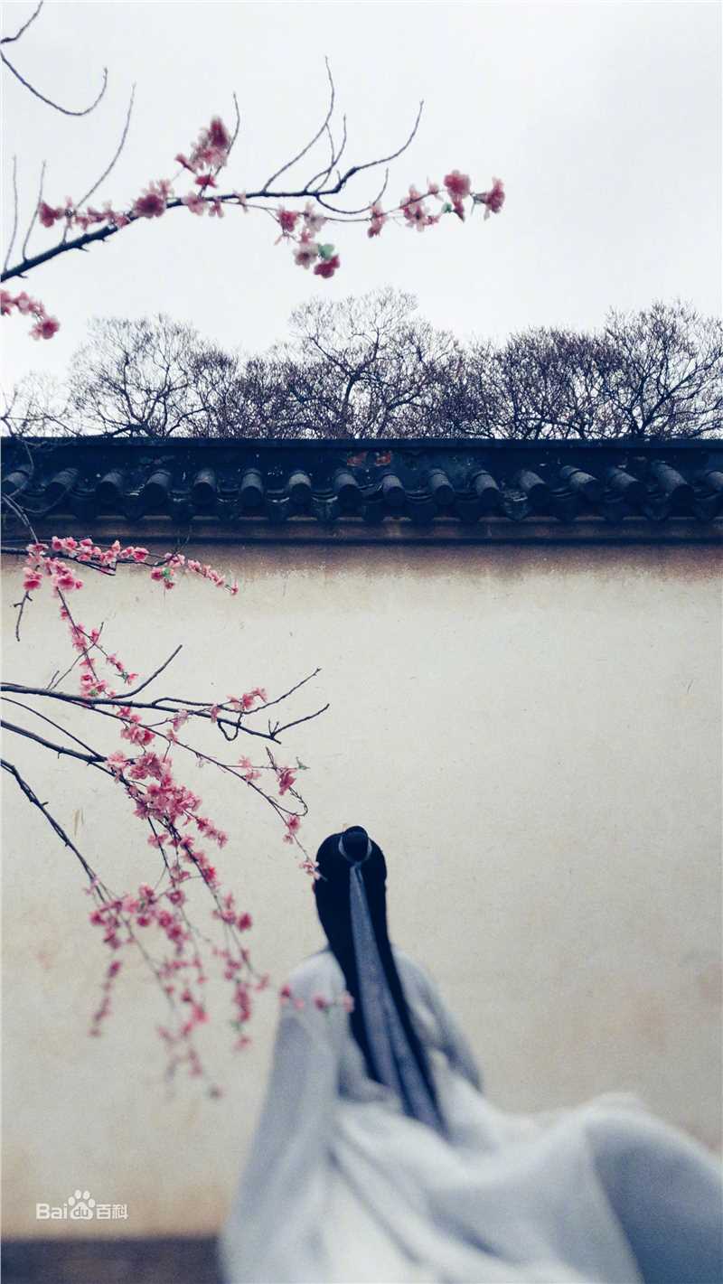 精选于朦胧(Alan Yu)在《新白娘子传奇》许仙中的图册