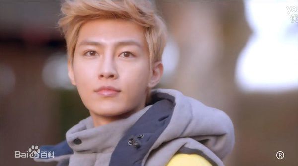 炎亚纶(Aaron、Arron)电视剧角色图册