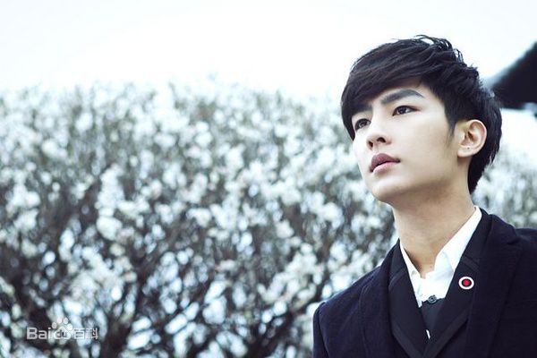 炎亚纶(Aaron、Arron)电视剧角色图册