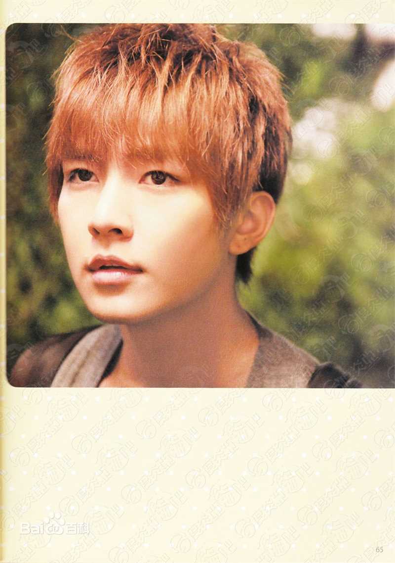 炎亚纶(Aaron、Arron)电视剧角色图册