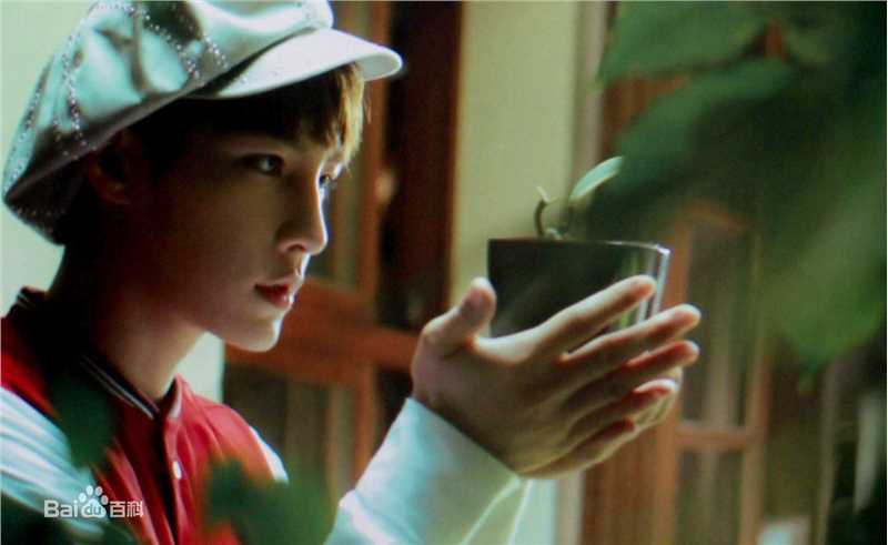 炎亚纶(Aaron、Arron)在《梦游私台北》中的