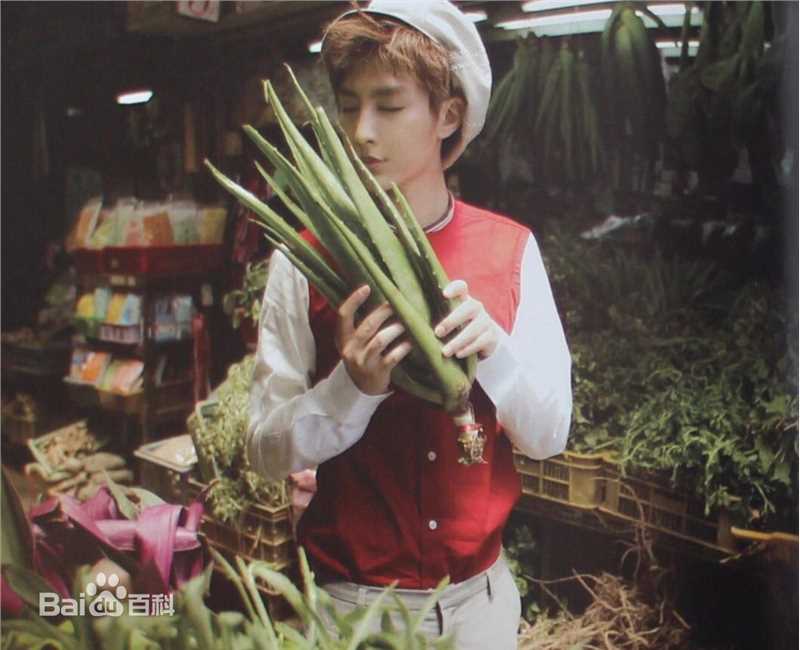 炎亚纶(Aaron、Arron)在《梦游私台北》中的