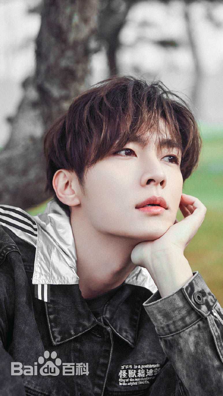 炎亚纶(Aaron、Arron)最全壁纸