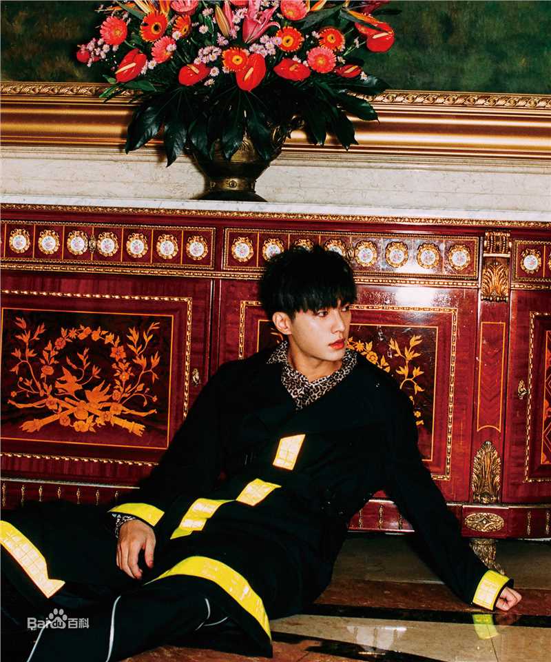 炎亚纶(Aaron、Arron)最全壁纸