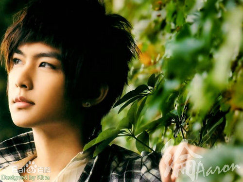炎亚纶(Aaron、Arron)精彩图册1