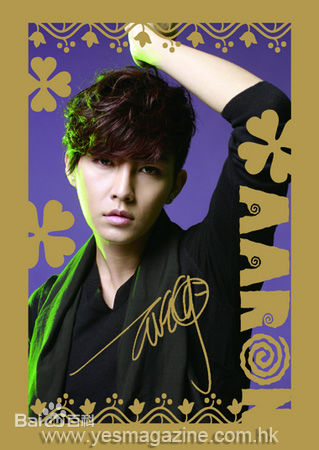 最全炎亚纶(Aaron、Arron)精彩图册3