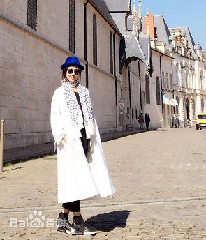 菅纫姿(Joyce)管纫姿素颜照相册