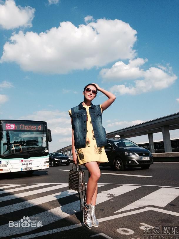 菅纫姿(Joyce)戛纳街拍图册