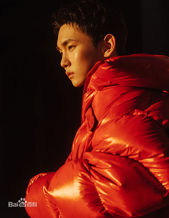 最优质金起范（自己认证）/金基范(  /   / Kim Kibum)在《FACE》中的相册