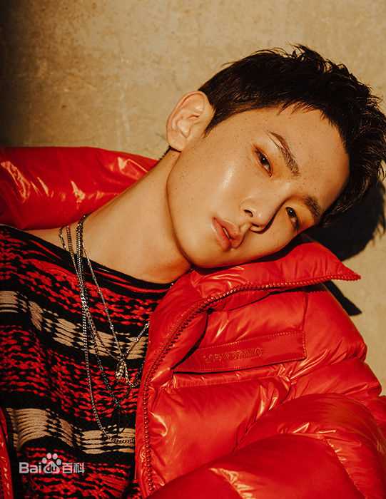 最优质金起范（自己认证）/金基范(  /   / Kim Kibum)在《FACE》中的相册