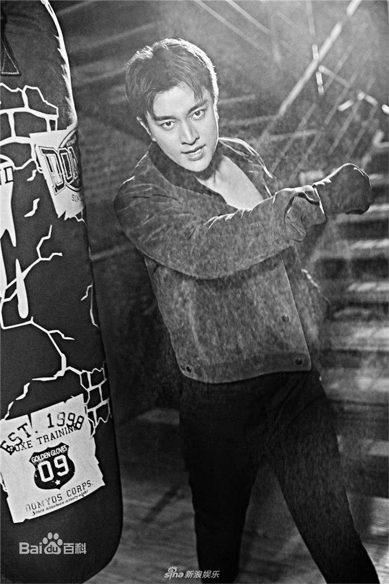 贾乃亮(Jerry)精选雅痞图册