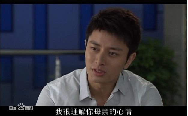 贾乃亮(Jerry)2010年《我要一个家》剧照