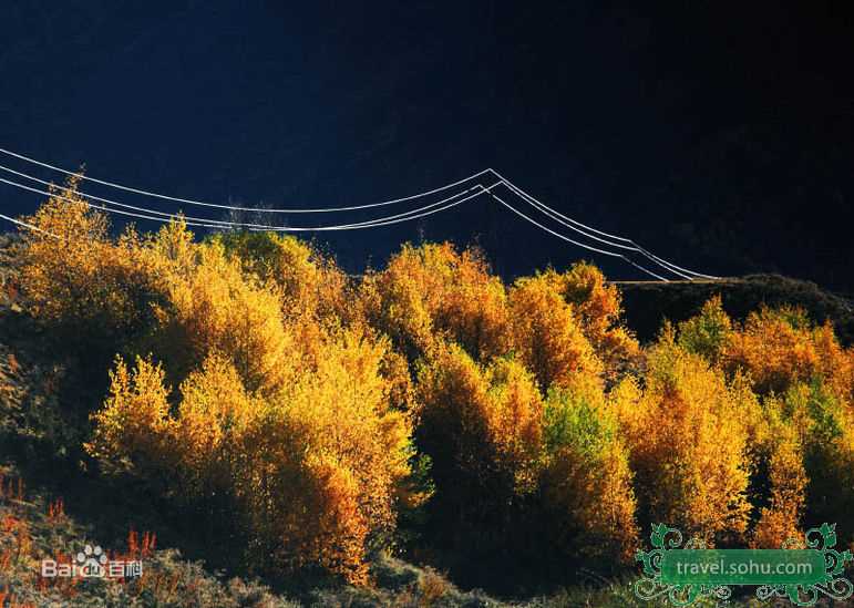 最全贾乃亮(Jerry)精彩图册