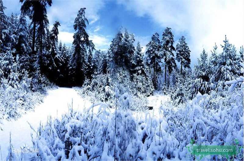 最全贾乃亮(Jerry)精彩图册