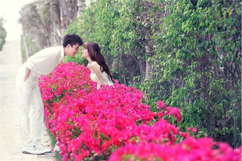 贾乃亮(Jerry)与李小璐图片图册