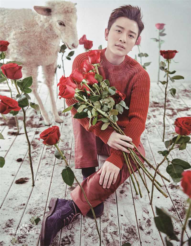 最新贾乃亮(Jerry)性感图片