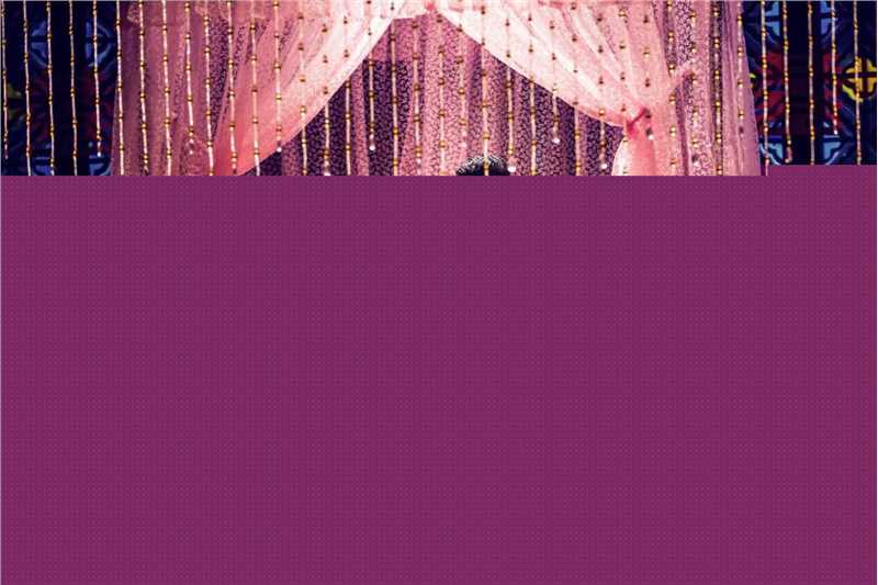 徐熙颜忘情歌图册