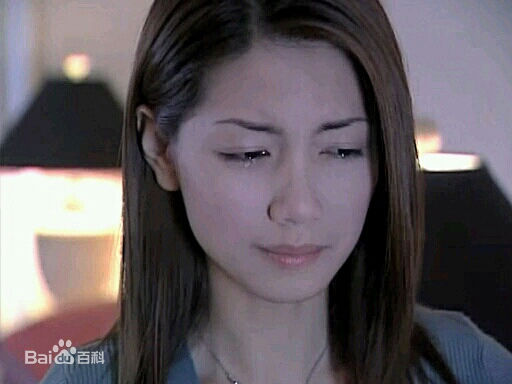 林韦君(Lin Penny)剧照