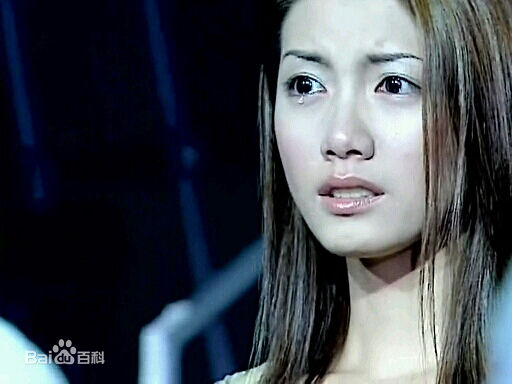 林韦君(Lin Penny)剧照