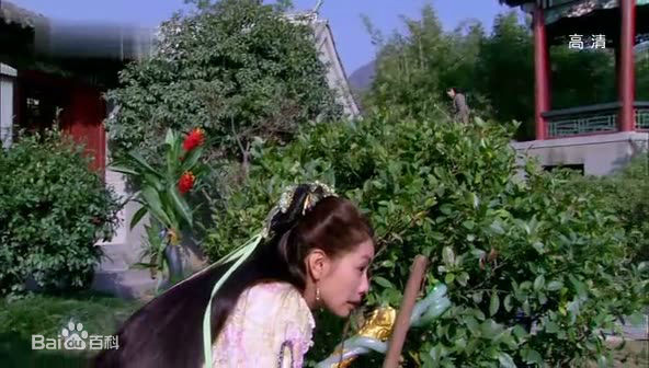 林韦君(Lin Penny)孙白雪的图册素颜照壁纸