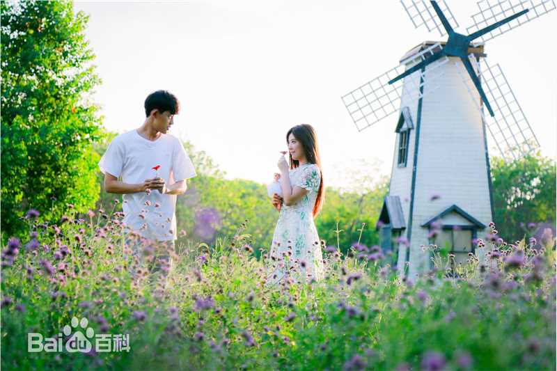 赵奕欢(Chloe Zhao)《很纯很暧昧》精选剧照