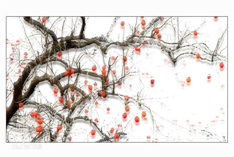 高清孙协志(Tony Sun)图片