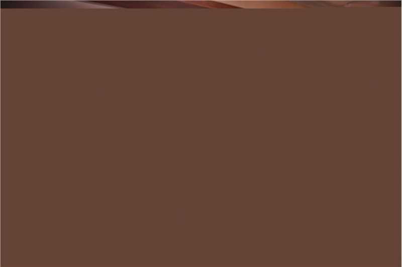 精选崔亮(JamesTsui)在《七月与安生》中的图册