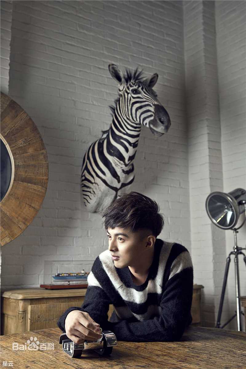 叶祖新最全壁纸