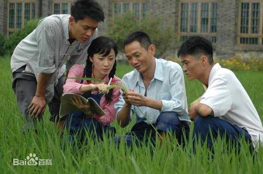 果靖霖果静林电视剧精选剧照