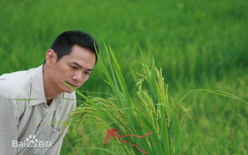 果靖霖果静林电视剧精选剧照