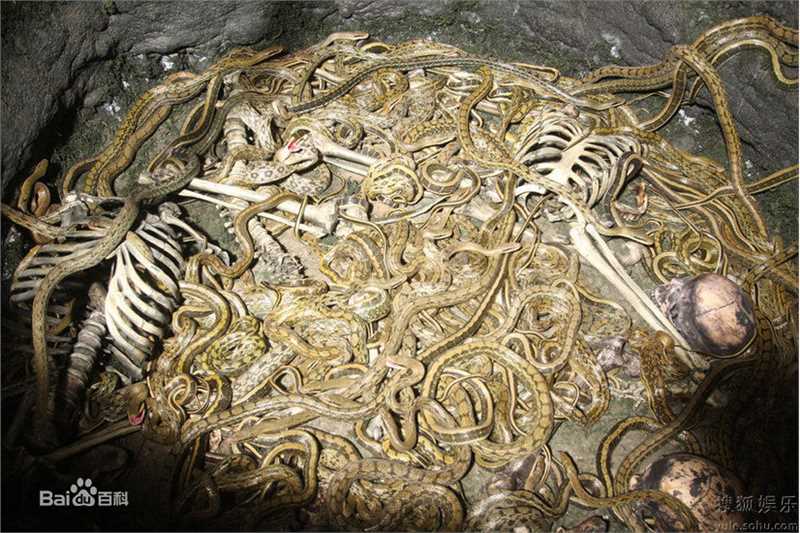 高清刘威葳(Vivienne Liu)精彩图册