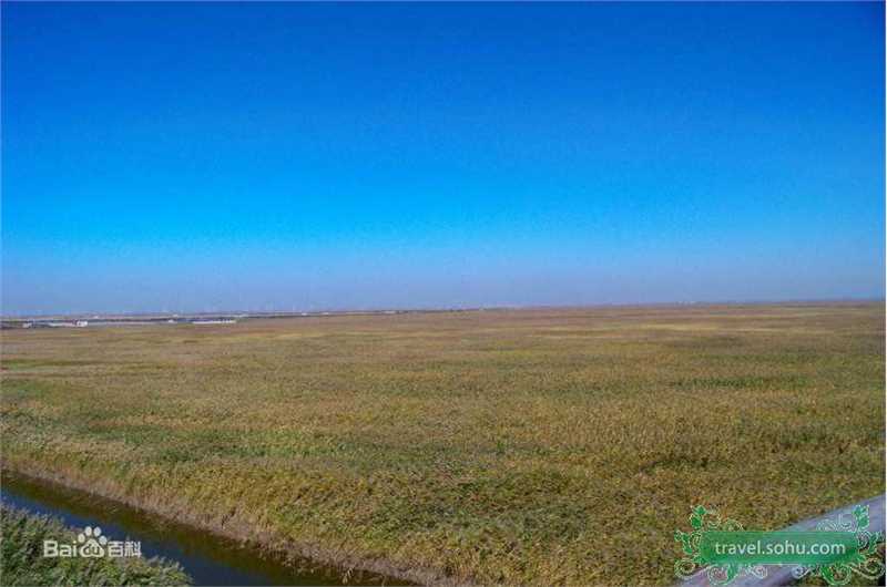 高清刘威葳(Vivienne Liu)精彩图册