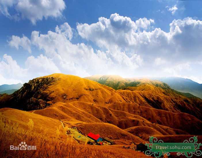 高清刘威葳(Vivienne Liu)精彩图册