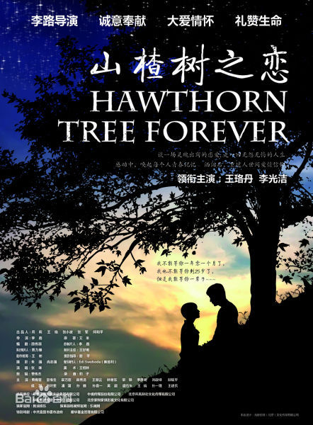 最新周浩东(Zhou Haodong)壁纸