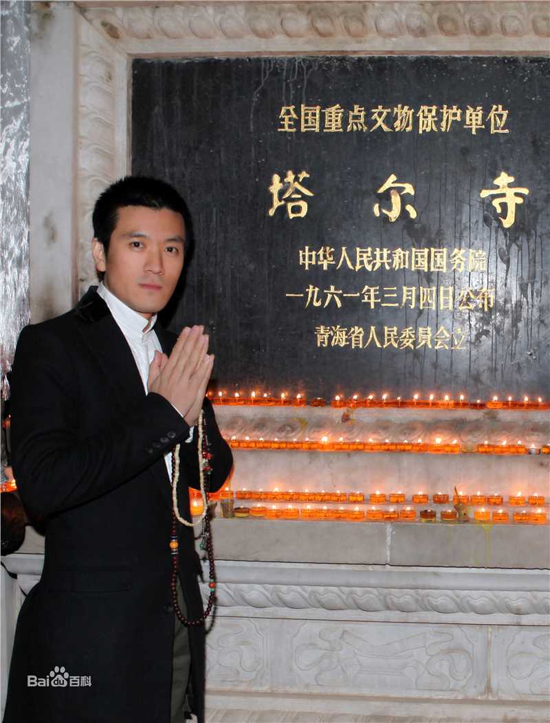 杨子与收藏素颜照壁纸