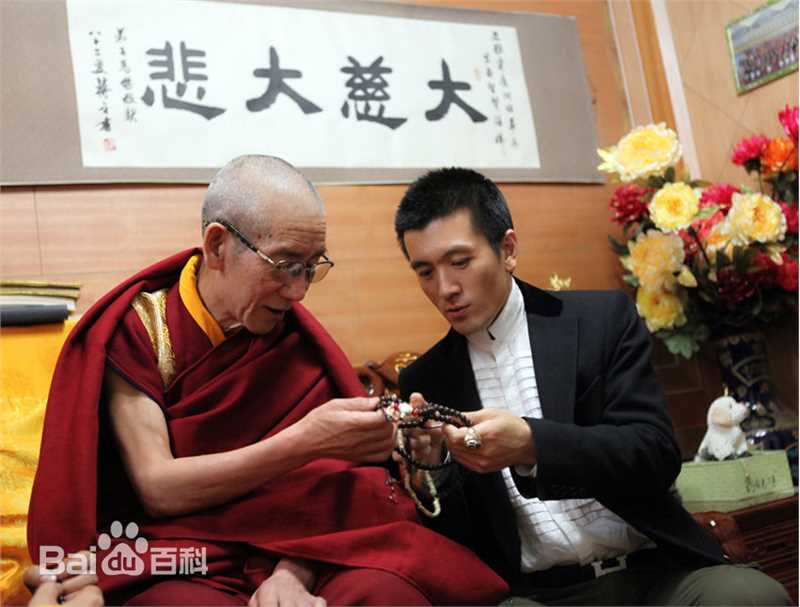 杨子与收藏素颜照壁纸